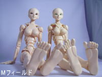 Mフィールド S.F.B.T-3 素体 | www.bottonificiolozio.it